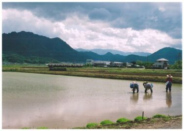 塩田のため池